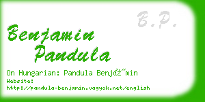 benjamin pandula business card